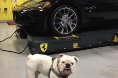 maserati-service-repair